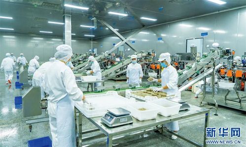 重慶榮昌 頭尾相連 串出農業(yè)價值鏈